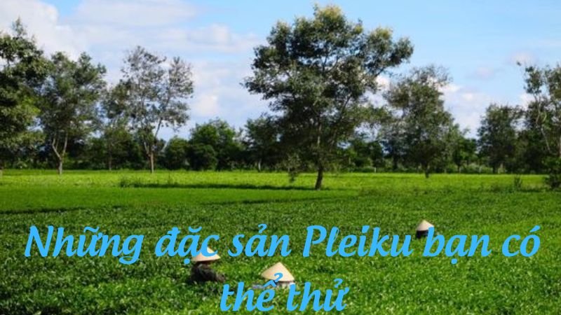 Những đặc sản Pleiku bạn có thể thử