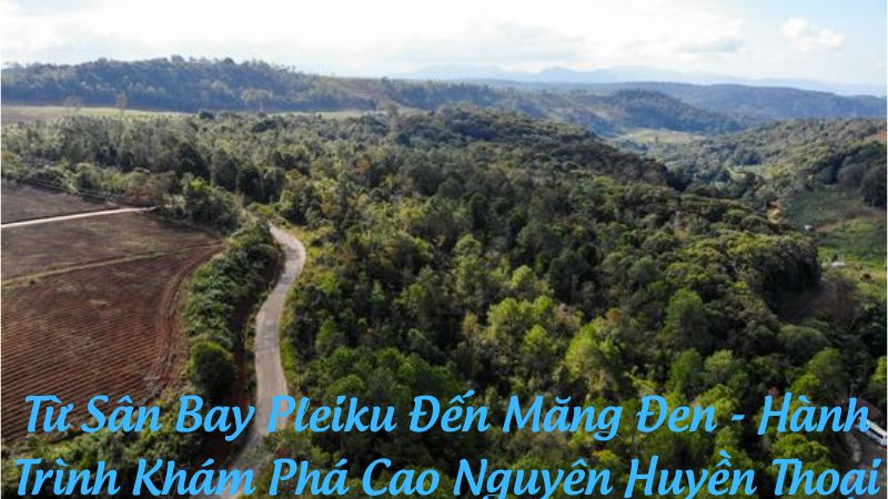 Từ Sân Bay Pleiku Đến Măng Đen - Hành Trình Khám Phá Cao Nguyên Huyền Thoại