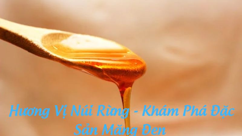 Hương Vị Núi Rừng - Khám Phá Đặc Sản Măng Đen