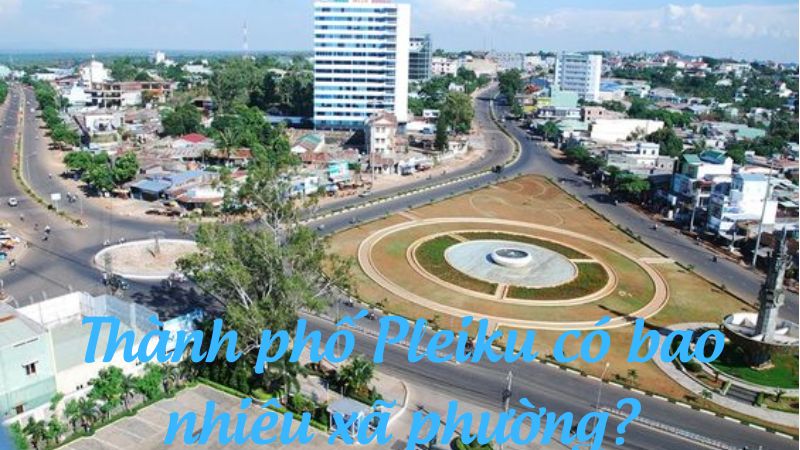 Thành phố Pleiku có bao nhiêu xã phường?