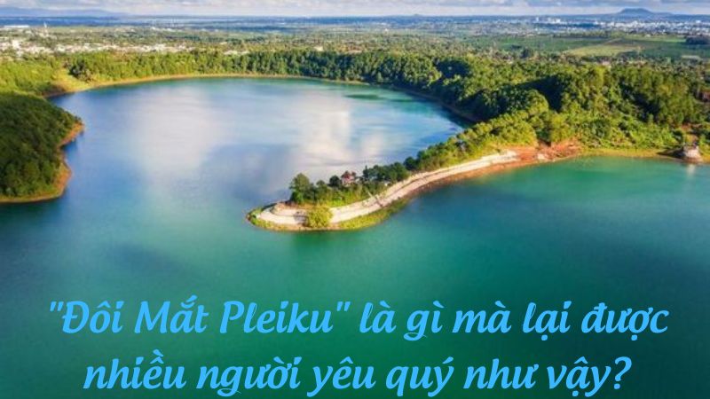 "Đôi Mắt Pleiku" là gì mà lại được nhiều người yêu quý như vậy?